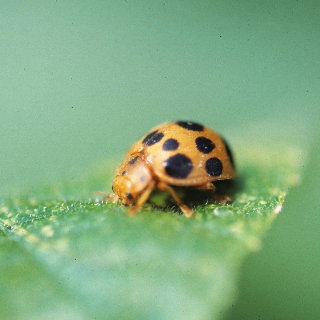 From errant birdseed to mint mishaps, gardening can be as scary as any Halloween night